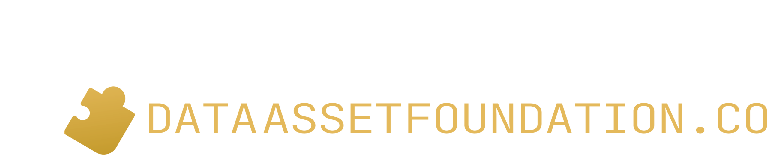 Data Asset Foundations Logo